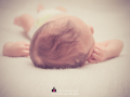 Baby16